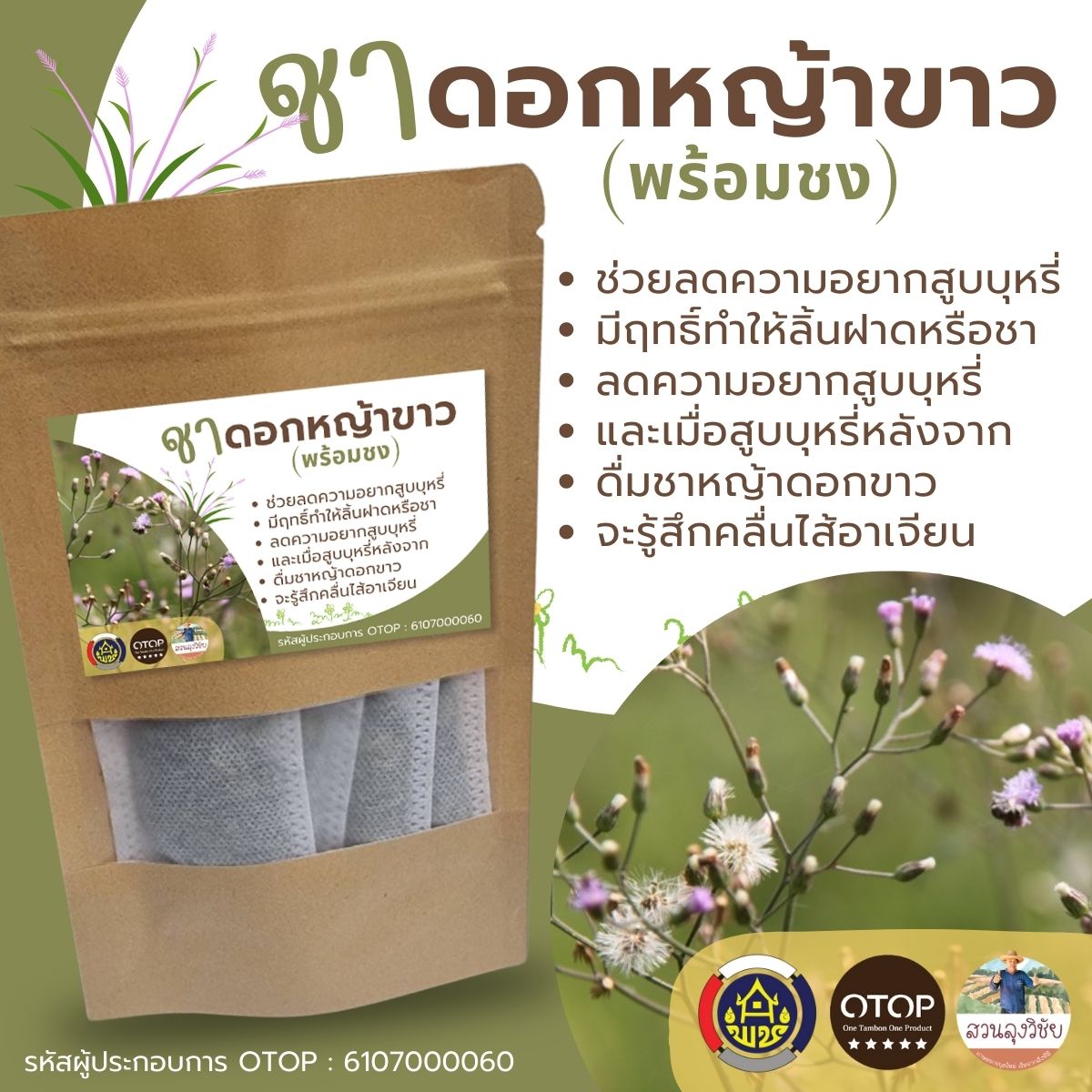 ชาหญ้าดอกขาว หรือ หญ้าหมอน้อย ขนาดบรรจุ 12ซองชา Little ironweed tea