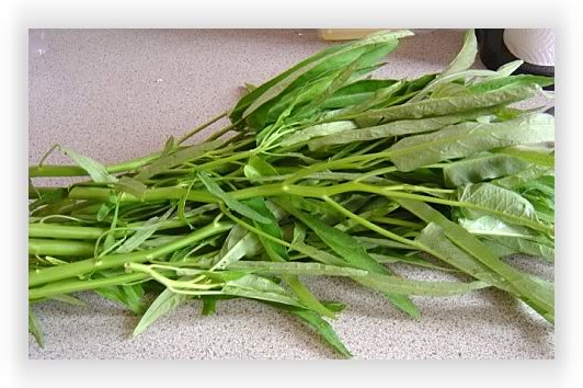 เมล็ดพันธุ์ ผักบุ้งจีนขนาด 1 กิโลกรัม