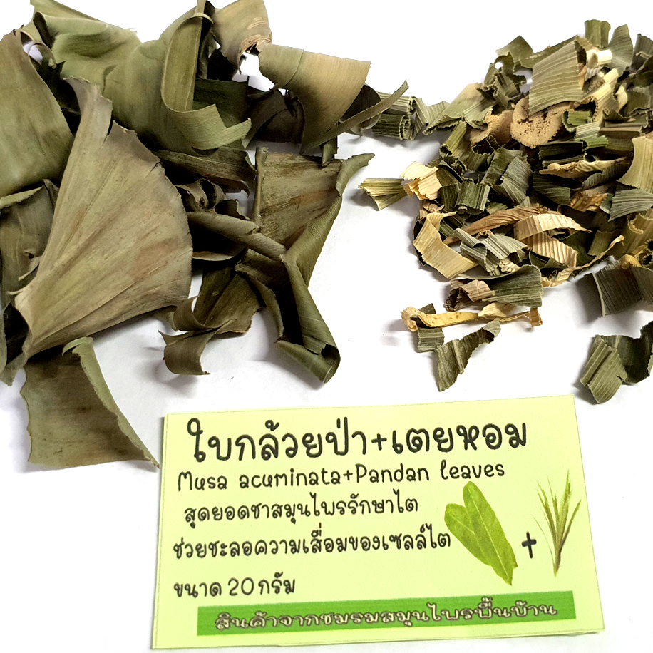 ใบกล้วยป่าอบแห้งพร้อมใบเตยหอมเกรดพรีเมียม สำหรับผู้ที่ต้องการบำรุงสุขภาพไต ชาใบกล้วยป่า ปลูกในไทยระบบอินทรีย์ หอม สะอาด ปลอดภัยจากเคมี เกรดดีที่สุด อบด้วยพลังงานแสงอาทิตย์