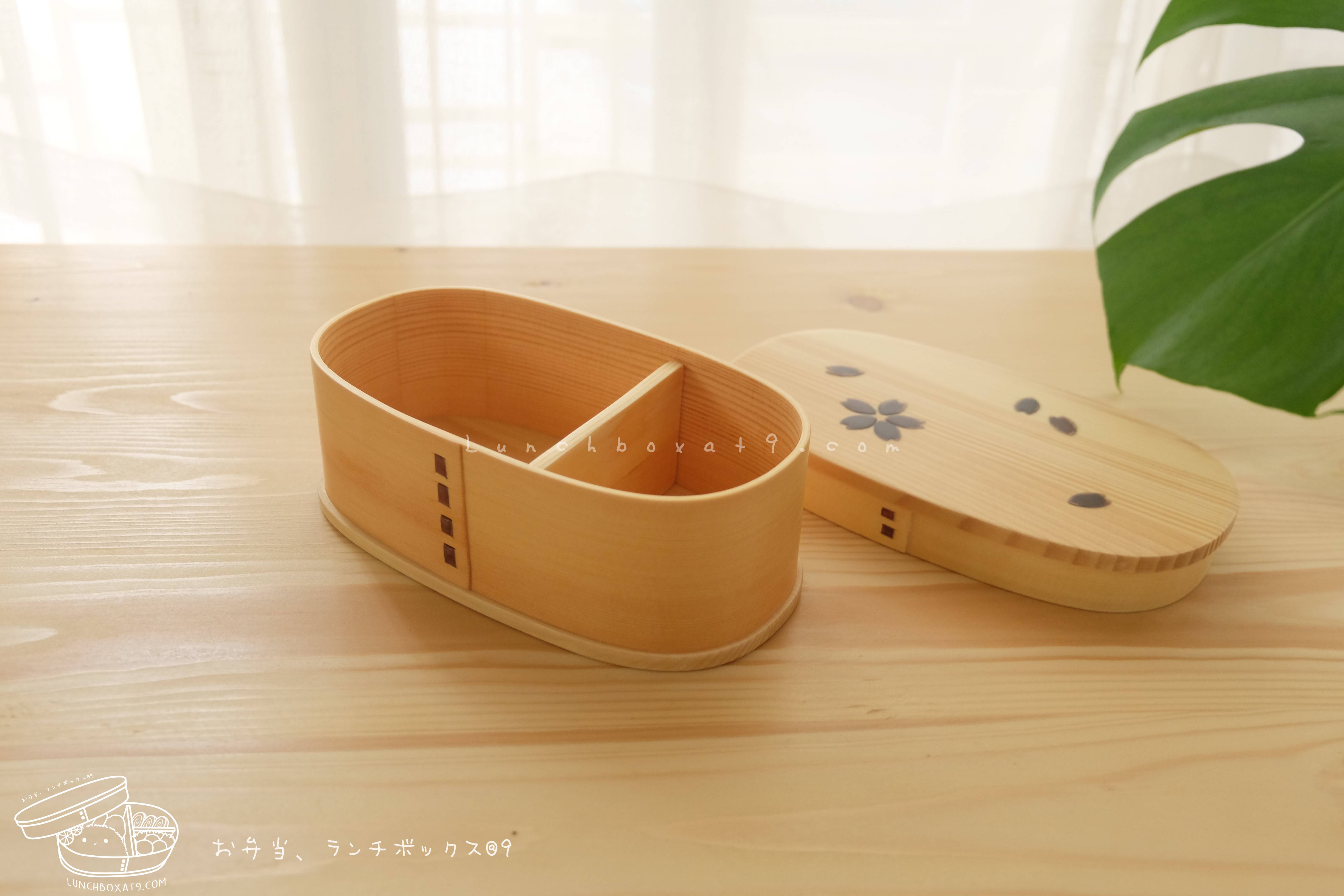 Oval Shiraki Bending magewappa Cherry Blossom Pattern bento box กล่องข้าวญี่ปุ่นทรงรี สีไม้ 1 ชั้น ลายดอกซากุระ