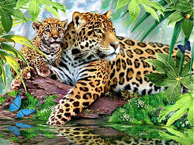 tiger-2018 *พร้อมส่ง* ชุดภาพติดคริสตัลกลม ลายเสือดาวแม่ลูก (งานติดเต็มภาพ) ขนาด 50*40 ซม.ผ้าแคนวาส ลงกาวติดเต็มลาย+คริสตัลกลม 35 สี+อุปกรณ์ครบชุด
