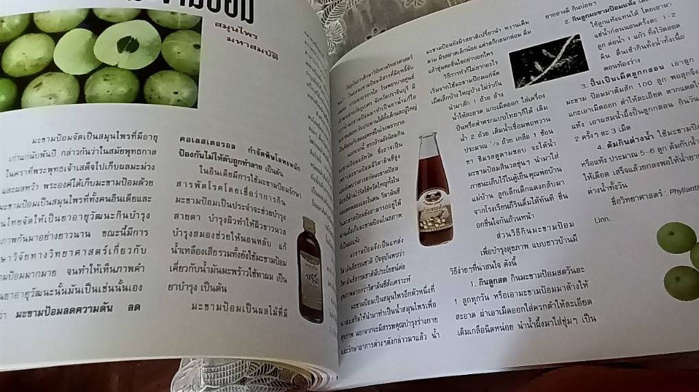 สมุนไพรอภัยภูเบศร สืบสารภูมิปัญญาไทย