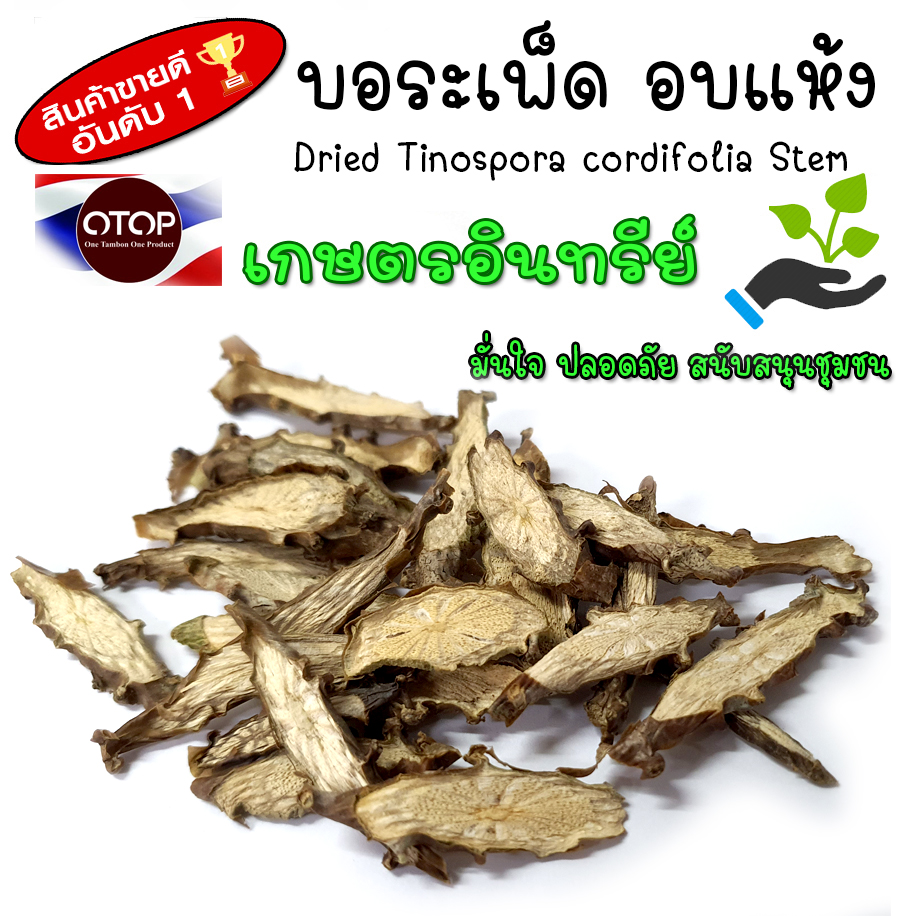 บอระเพ็ดตากแห้ง บอระเพ็ดแห้ง บอระเพ็ดอบแห้ง ปลูกแบบอินทรีย์แท้