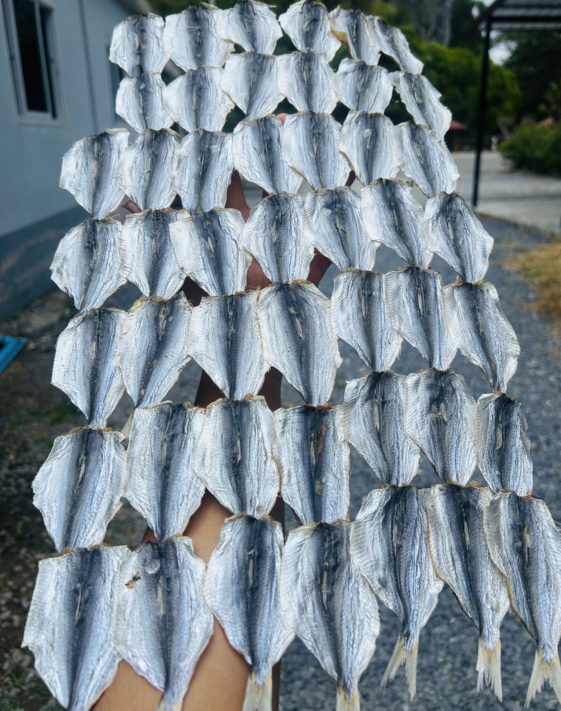 ปลาหลังเขียว แพค 200 กรัม ปลีก-ส่ง