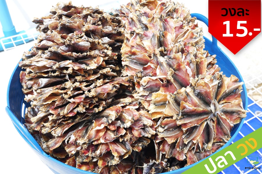 ปลาหัวโม่งตากแห้ง แพค 10วง(ปลีก)