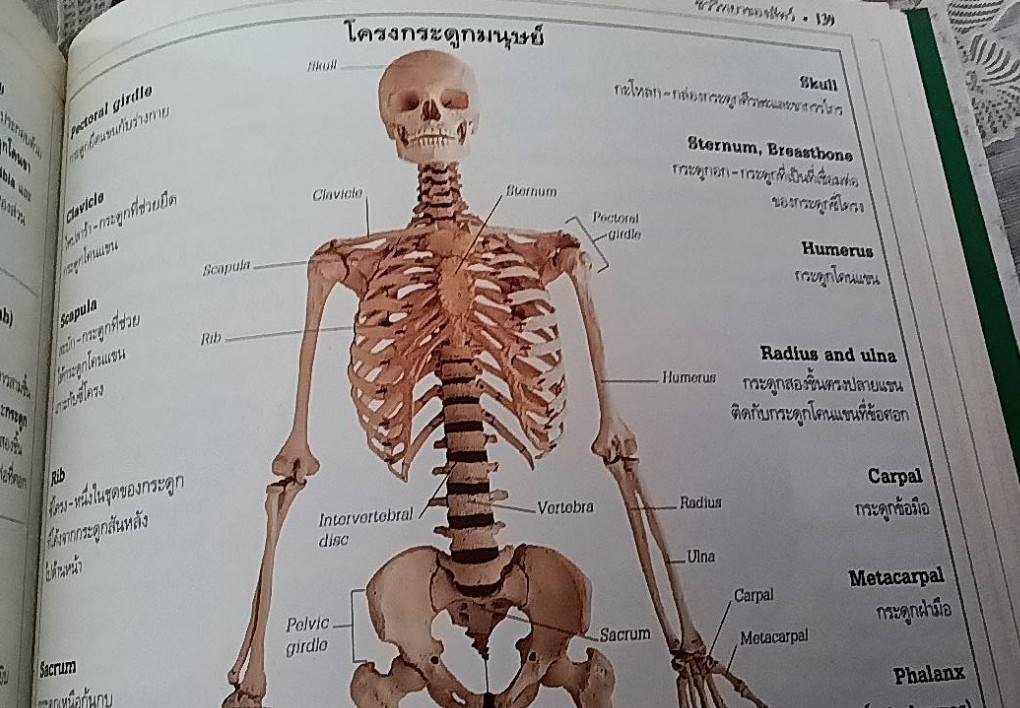 พจนานุกรมธรรมชาติวิทยา