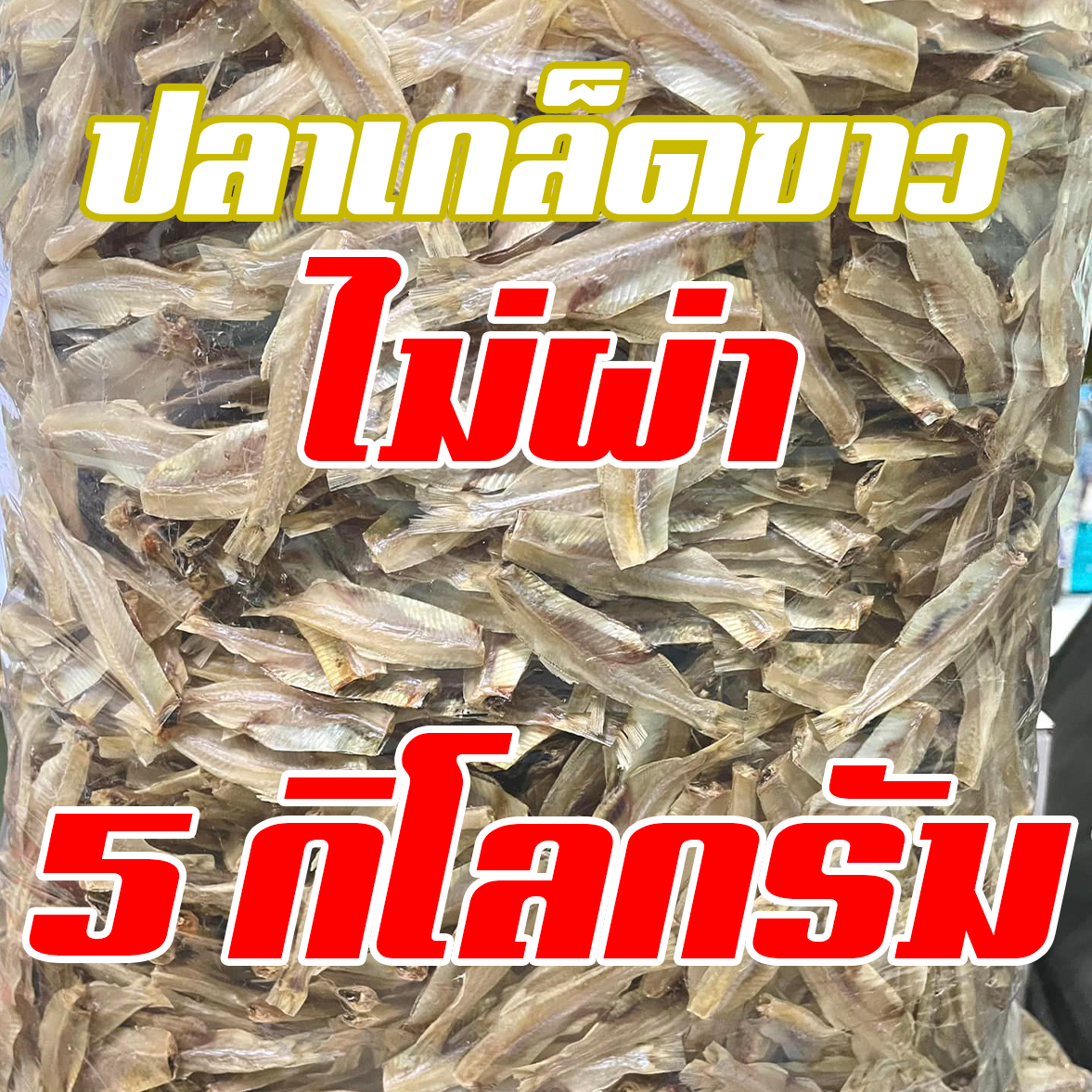 ปลาเกล็ดขาว ไม่ผ่า 5 โล ขายส่ง