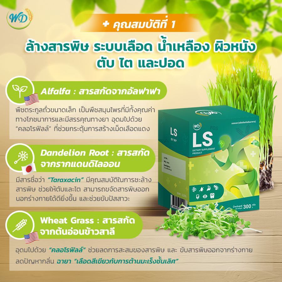 อาหารเสริม ปรับสมดุลลำไส้ กันกรดไหลย้อน (LS)