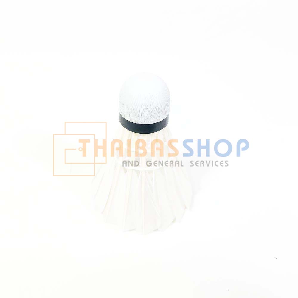 (ของแท้ 100%) ลูกแบดมินตัน Standard Sport Victory ลูกขนไก่ Shuttlecock ลูกแบด บรรจุหลอด 12 ลูก