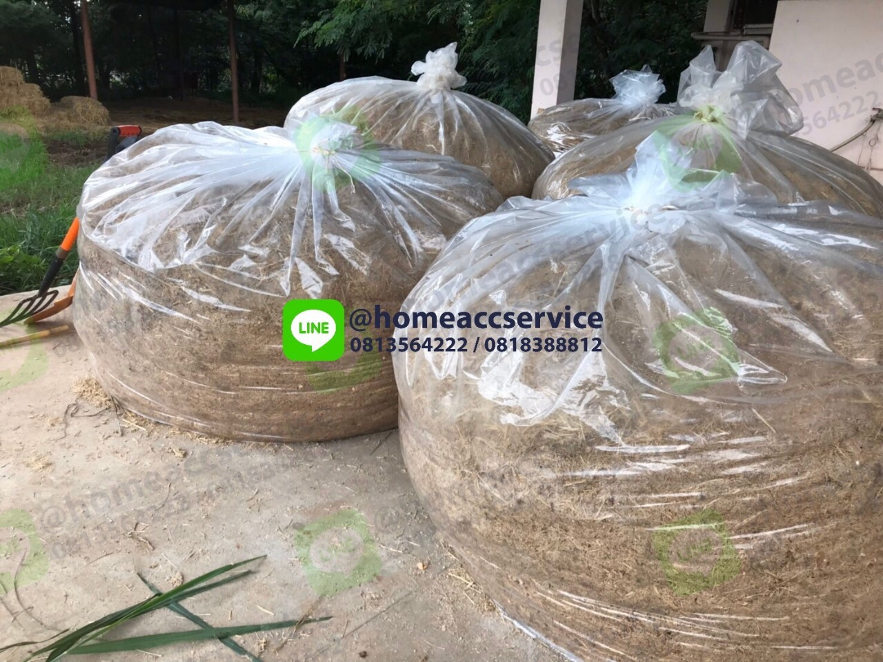 ถุงพลาสติกพีอีขนาดใหญ่ 82x100" (กว้าง 2เมตร ยาว 2.5เมตร) 1 ชิ้น - Jumbo Plastic Bag 82x100"x0.20 (208x254 cm) 1 piece