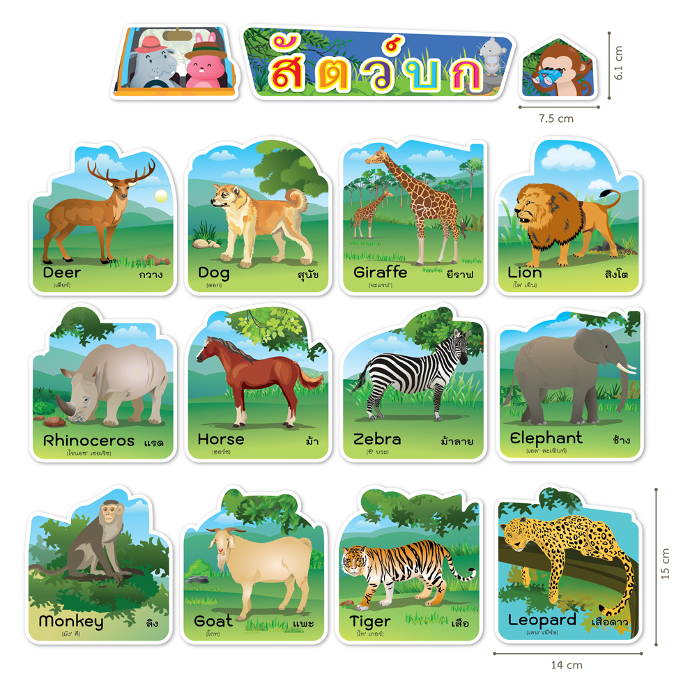 ชุดจัดบอร์ดคำศัพท์ไทย-อังกฤษ ชุดสัตว์ Animals 15ชิ้น ET-771 สัตว์บก 