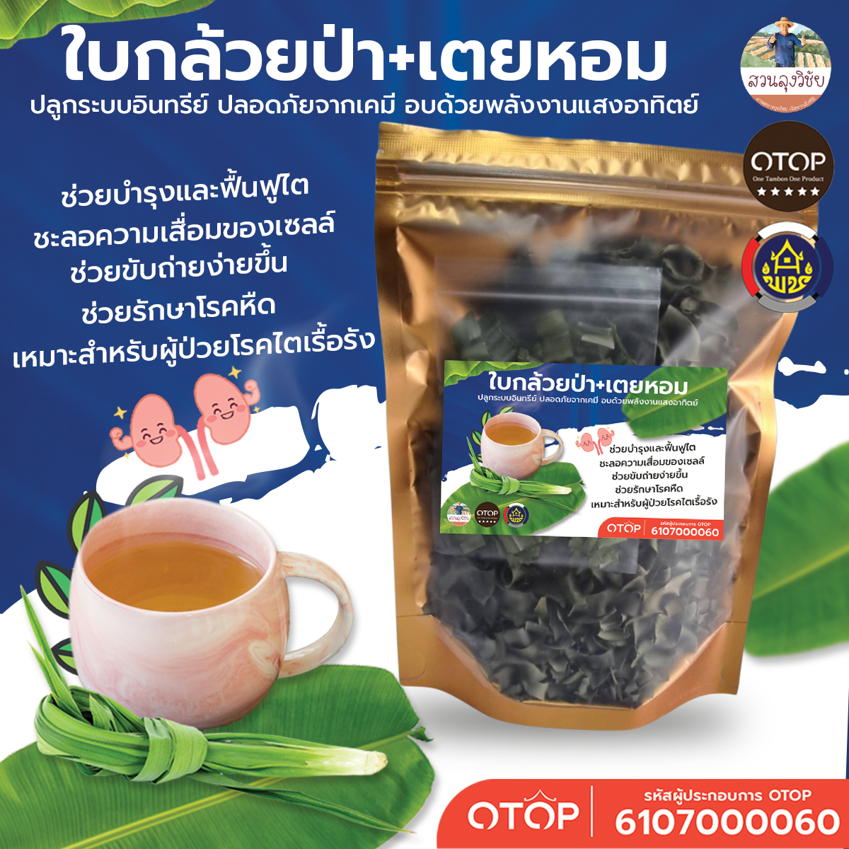 ใบกล้วยป่าอบแห้งพร้อมใบเตยหอมเกรดพรีเมียม สำหรับผู้ที่ต้องการบำรุงสุขภาพไต ชาใบกล้วยป่า ปลูกในไทยระบบอินทรีย์ หอม สะอาด ปลอดภัยจากเคมี เกรดดีที่สุด อบด้วยพลังงานแสงอาทิตย์
