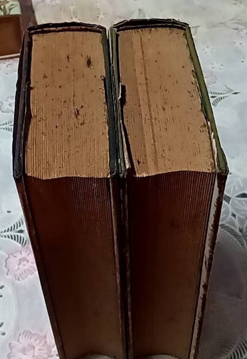 ภูขิขย์-นริศรา