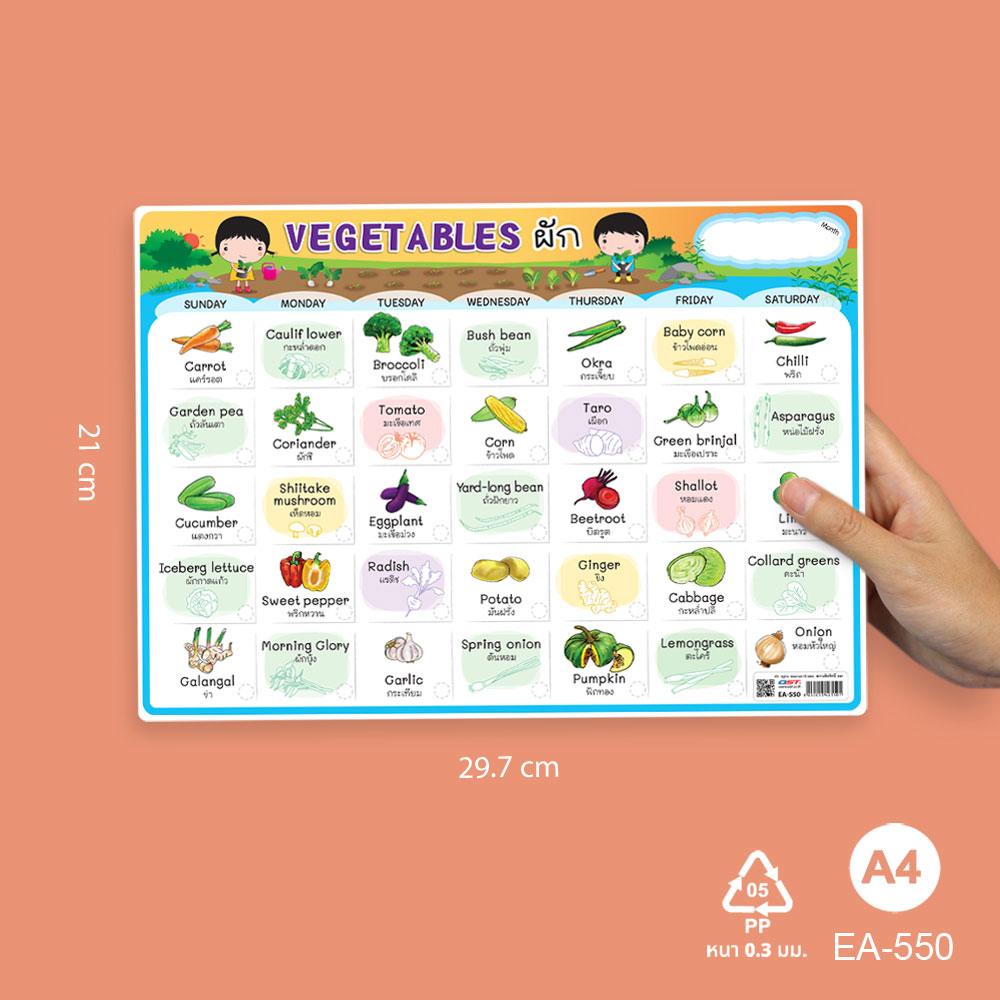 โปสเตอร์พลาสติก ขนาดA4 ชุดท่องคำศัพท์ รายวัน EA-550 ผัก Vetgetables