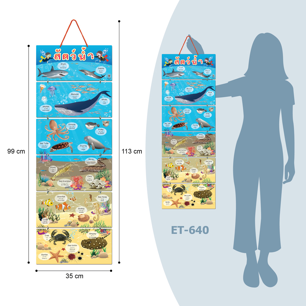 Hanging Display Flashcards Types of Animals