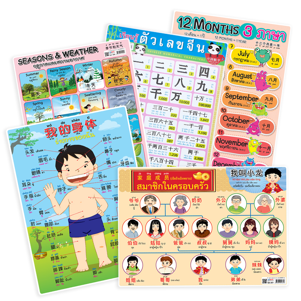 Thai English and Mandarin Vocabulary Educational Posters A4 size
