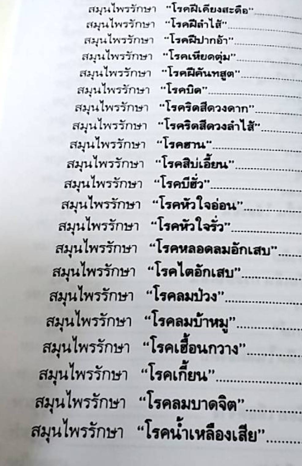 หมอดีอีสาน กับสมุนไพรพื้นบ้านรักษาโรคนานาชนิด