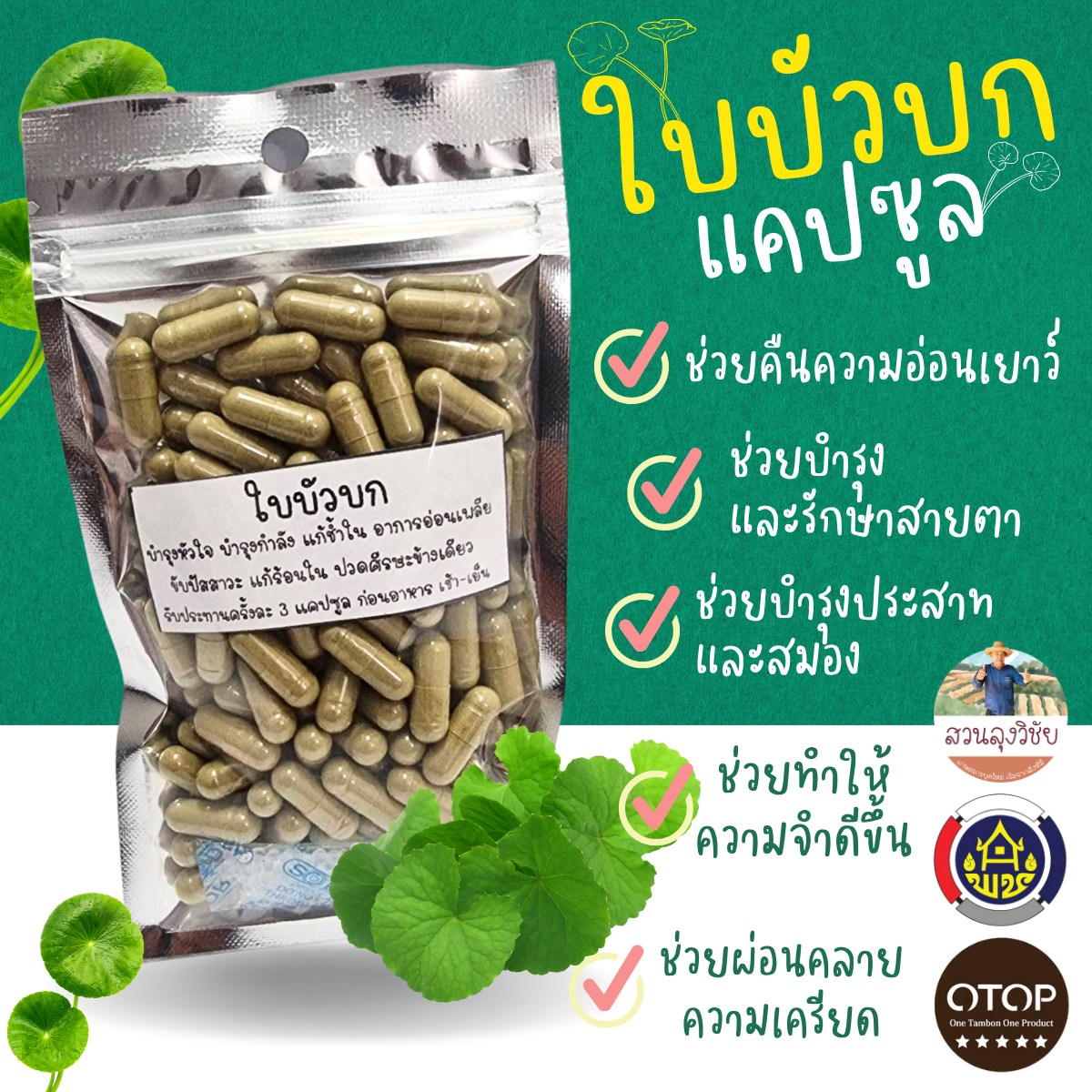 ใบบัวบก แคปซูล บรรจุ 100 แคบซูล บด100% ไม่ผสม แก้อาการช้ำใน ลดอการอักเสบ