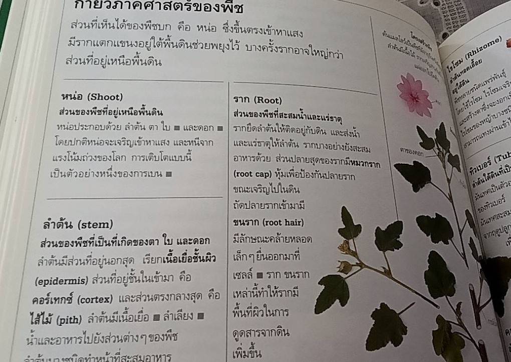 พจนานุกรมธรรมชาติวิทยา