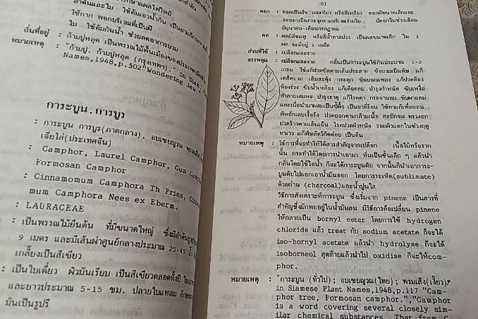 พจนานุกรม สมุนไพรไทย