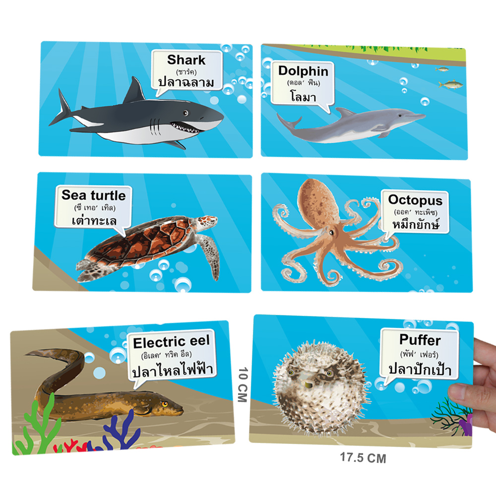 ขนาดบัตรเกมต่อภาพ คำศัพท์2ภาษา ไทย-อังกฤษ ชุดสัตว์น้ำ ET-304
