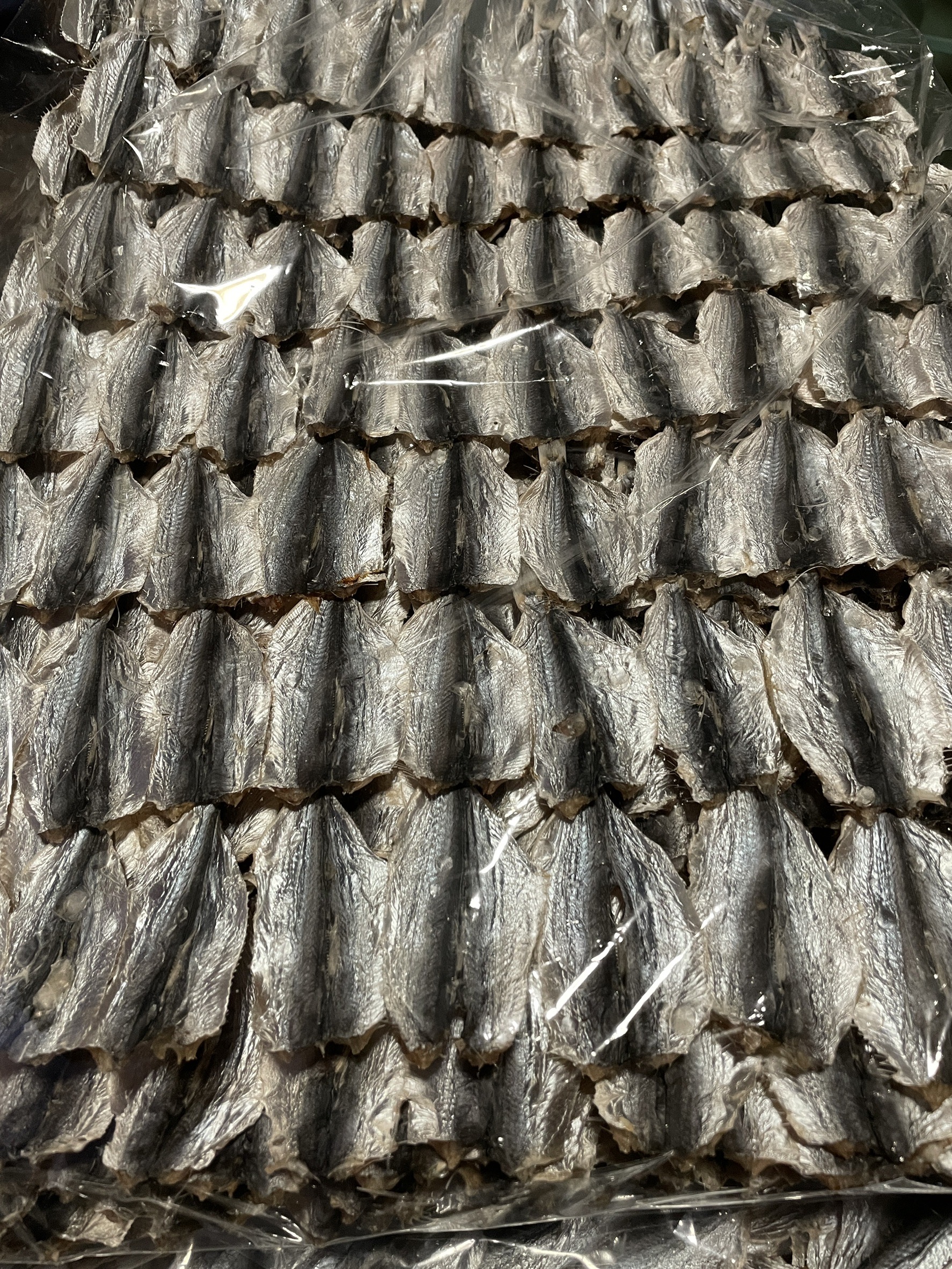 ปลาหลังเขียว ขายส่ง 5โล