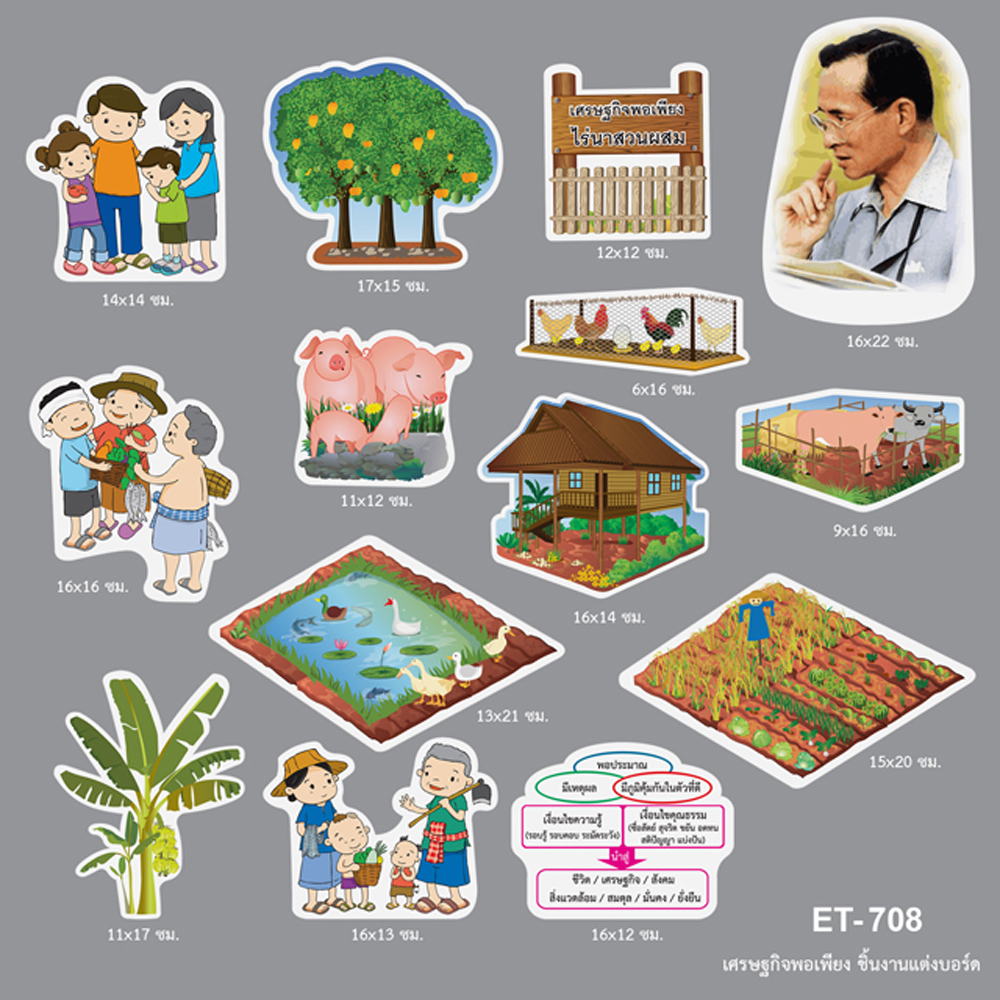 Display Sufficient Economy Flashcards ET-708