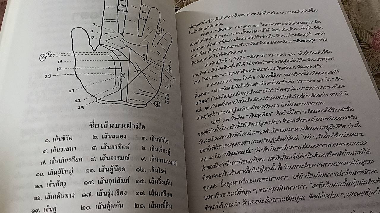 มือบอกชีวิต