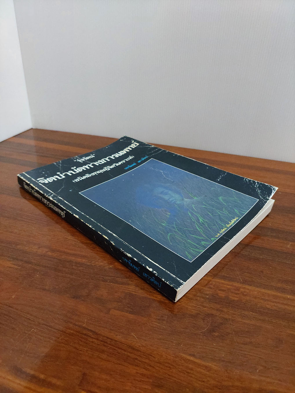 "รุ่งรัตน์" จิตบำบัดทางการแพทย์ (ชนิดอิงทฏษฎีจิตวิเคราะห์)