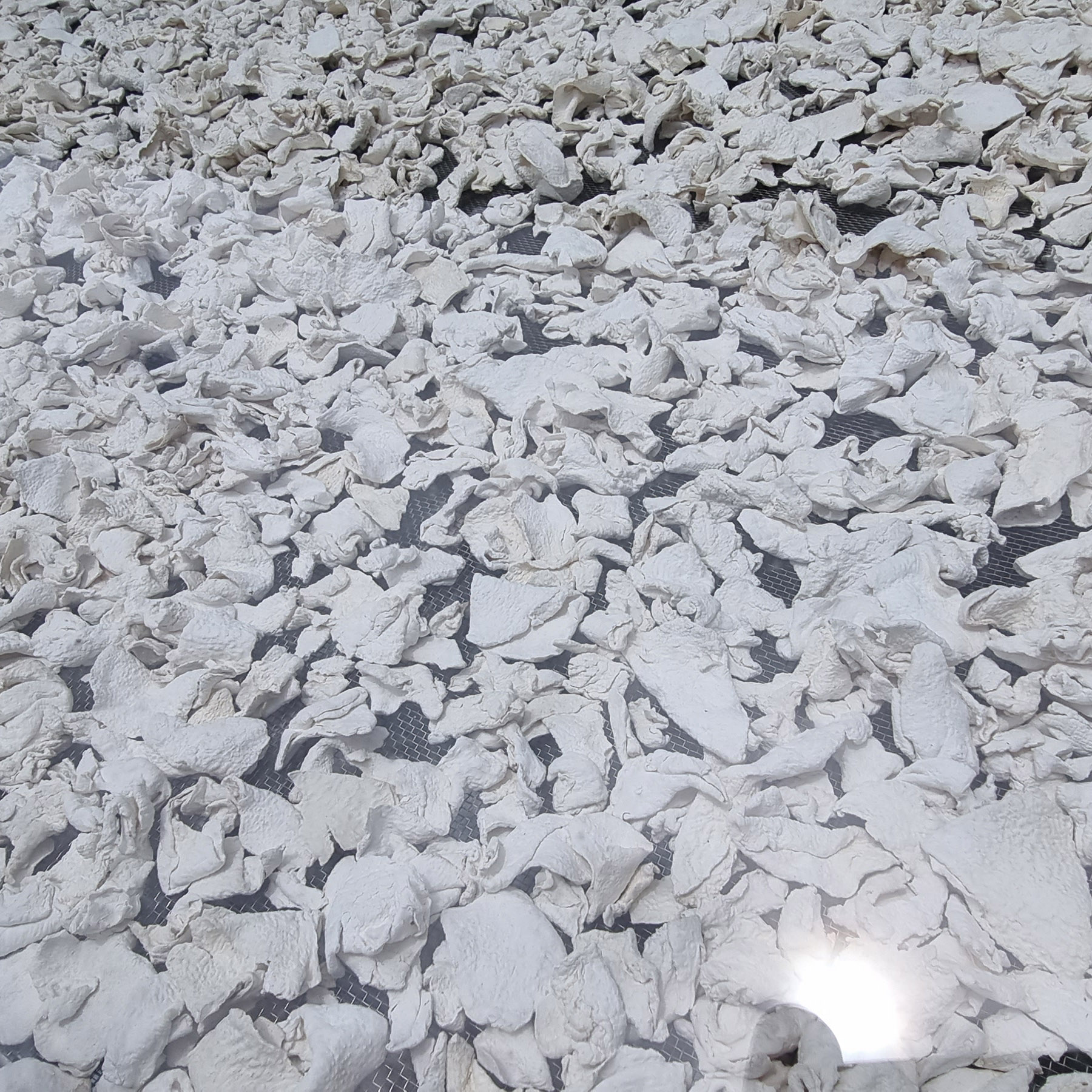 กลอยข้าวเหนียว กลอยแห้ง แผ่นใหญ่ เก็บได้นาน สำหรับนึ่งทานและเมนูอื่นๆ กลอยข้าวเหนียว ขนาด 250 กรัม