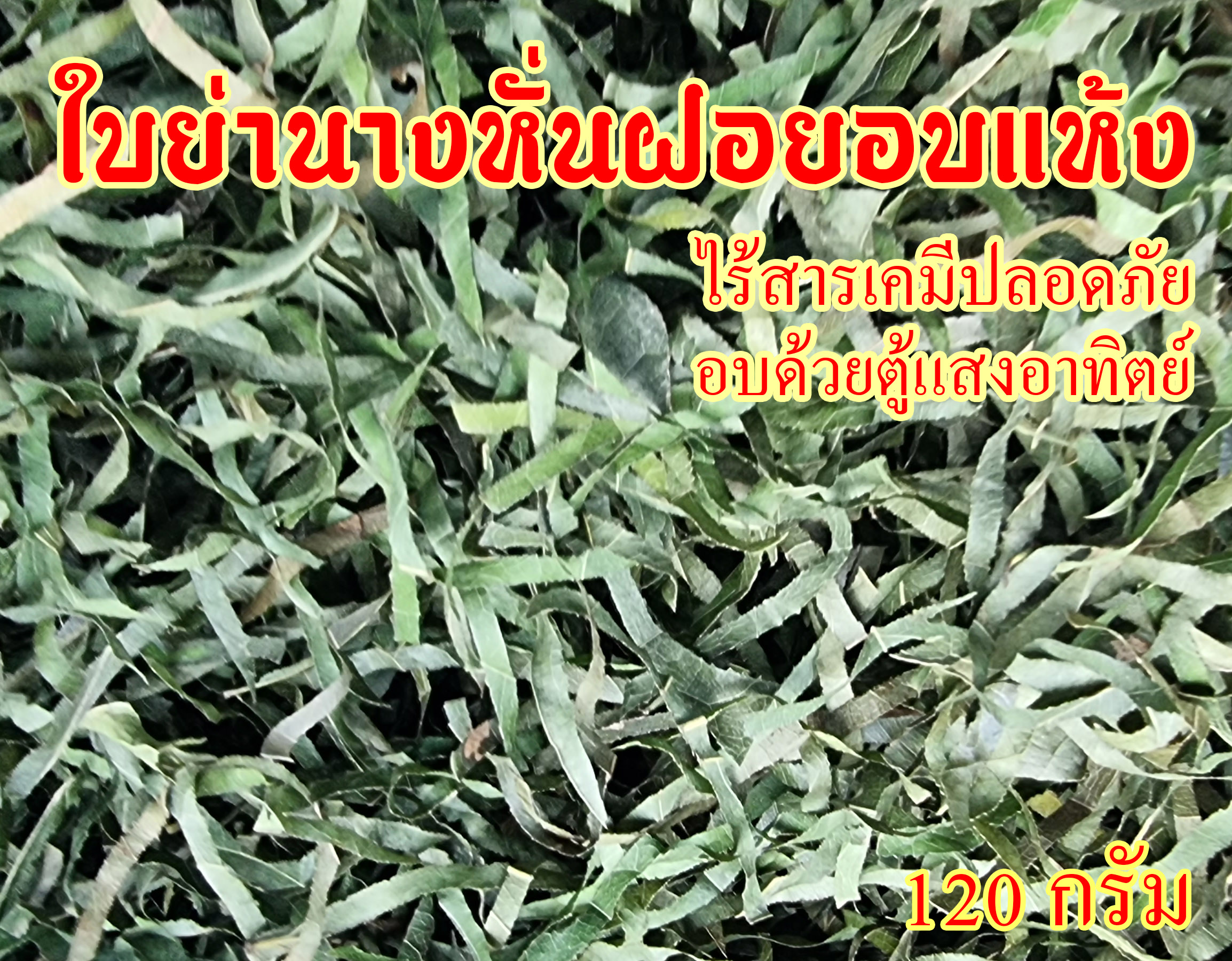 ใบย่านางแห้ง ใบย่านางตากแห้งหั่นฝอย ขนาด 120 กรัม