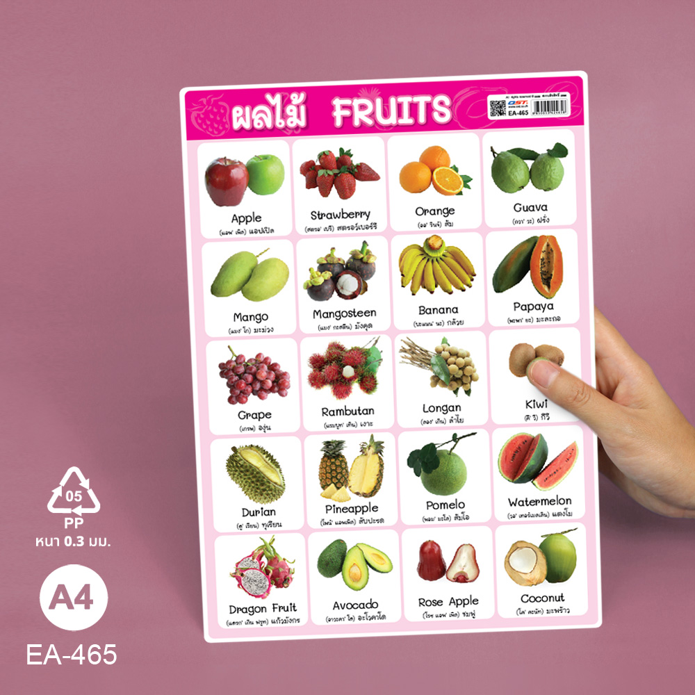โปสเตอร์ความรู้ คำศัพท์ ไทย-อังกฤษ ชุดพืช ขนาดA4 EA-465 ผลไม้ Fruits