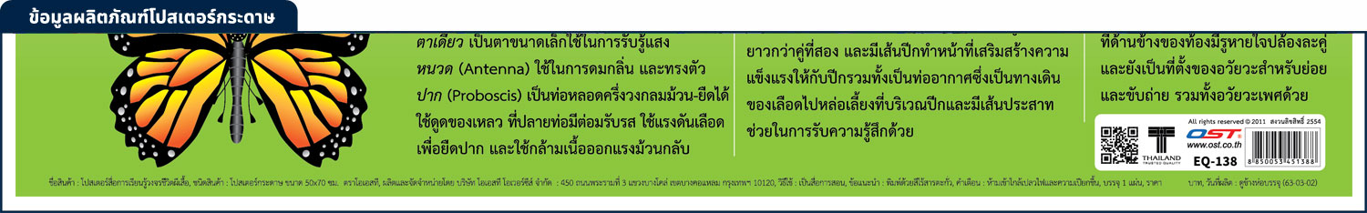 สคบ.โปสเตอร์ความรู้ ชุดแมลง กระดาษ EQ -138 วงจรชีวิตผีเสื้อ