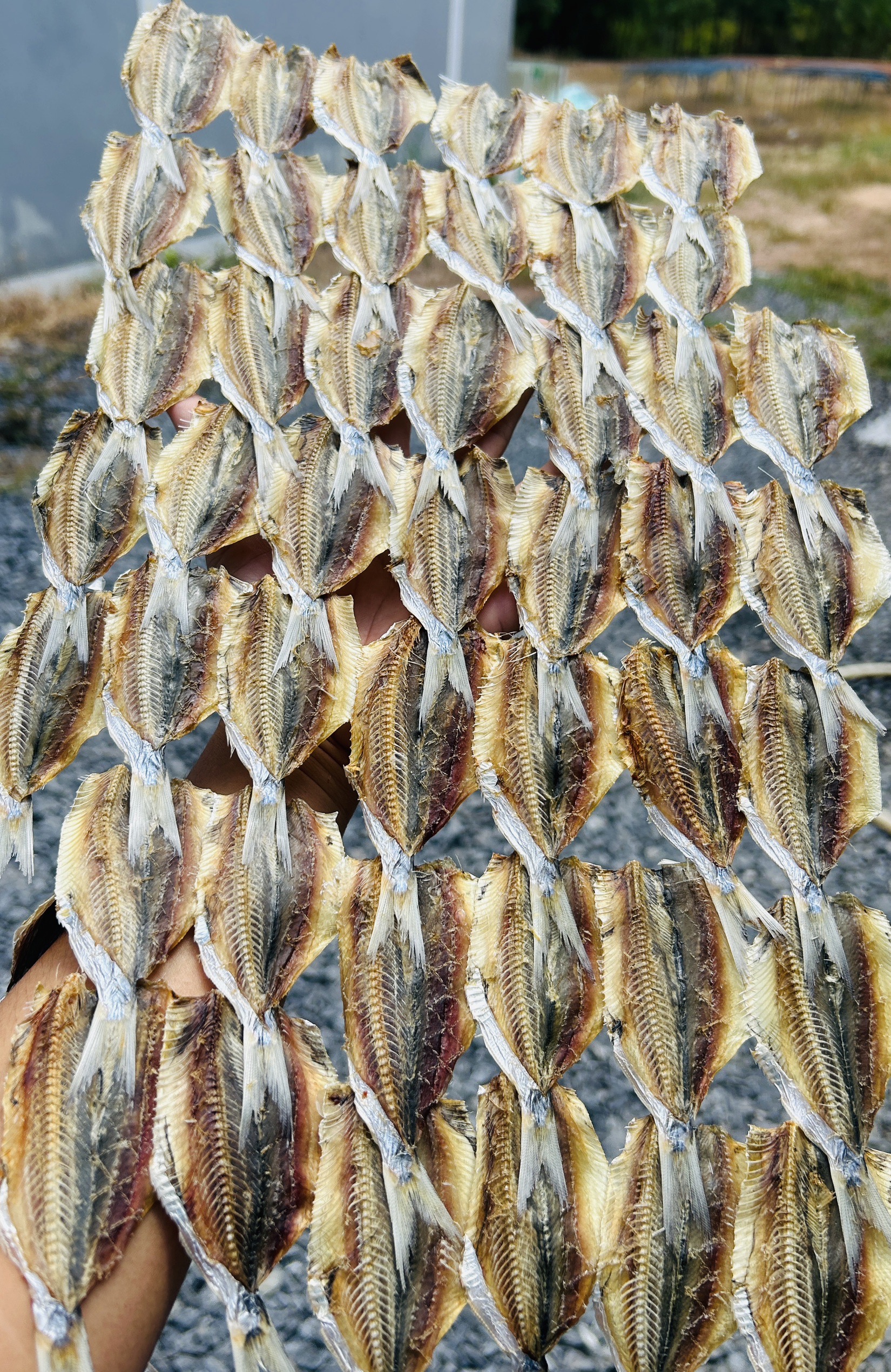 ปลาหลังเขียว แพค 200 กรัม ปลีก-ส่ง