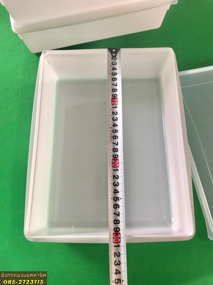 กล่องพลาสติกเปล่ามีฝาปิด ขนาด 22x30x8 ซม.