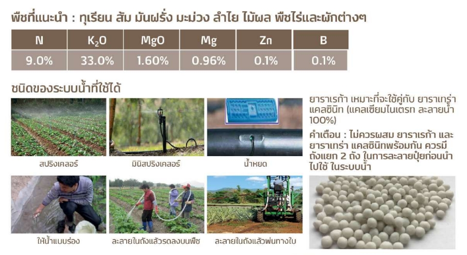 ปุ๋ยเม็ดระบบน้ำ/ทางดิน ยาราเรก้า สุตรบำรุงผลผลิต YaraRega 9-0-33 (+Mg+โบรอน&สังกะสี) บรรจุ 25 กิโลกรัม