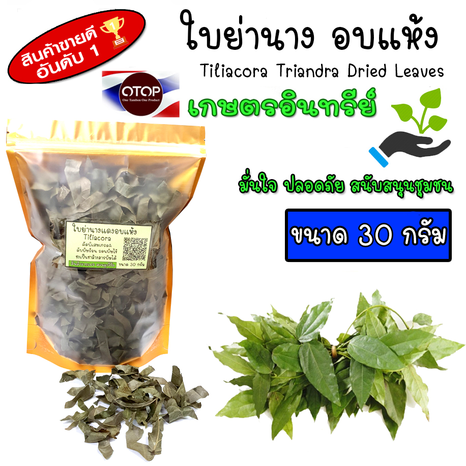 ใบย่านางอบแห้ง หั่นหยาบ คัดพิเศษ ไร้ก้าน สะอาดปลอดสาร พร้อมส่ง ปลูกในไทยระบบอินทรีย์ หอม สะอาด ปลอดภัยจากเคมี เกรดดีที่สุด อบด้วยพลังงานแสงอาทิตย์