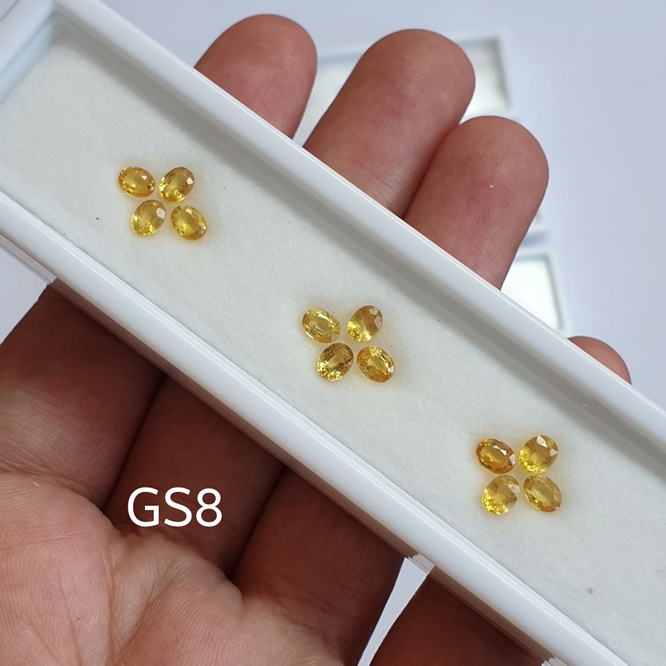 พลอยบุษราคัมบางกะจะ Yellow sapphire เซต 12 เม็ด สีน้ำทอง เฉลี่ย 3x4 มิล ทรงไข่