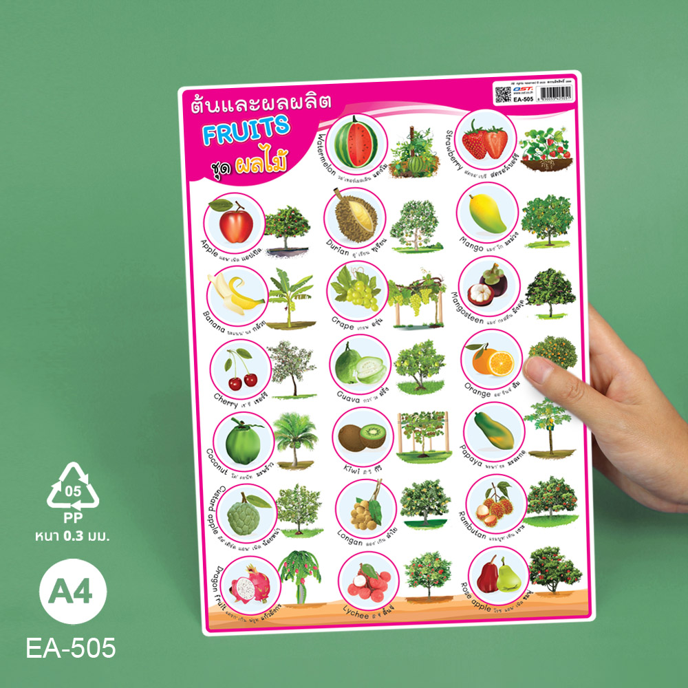 โปสเตอร์ความรู้ เรื่องพืช ขนาด A4 EA-505 ต้นและผลผลิต ผลไม้
