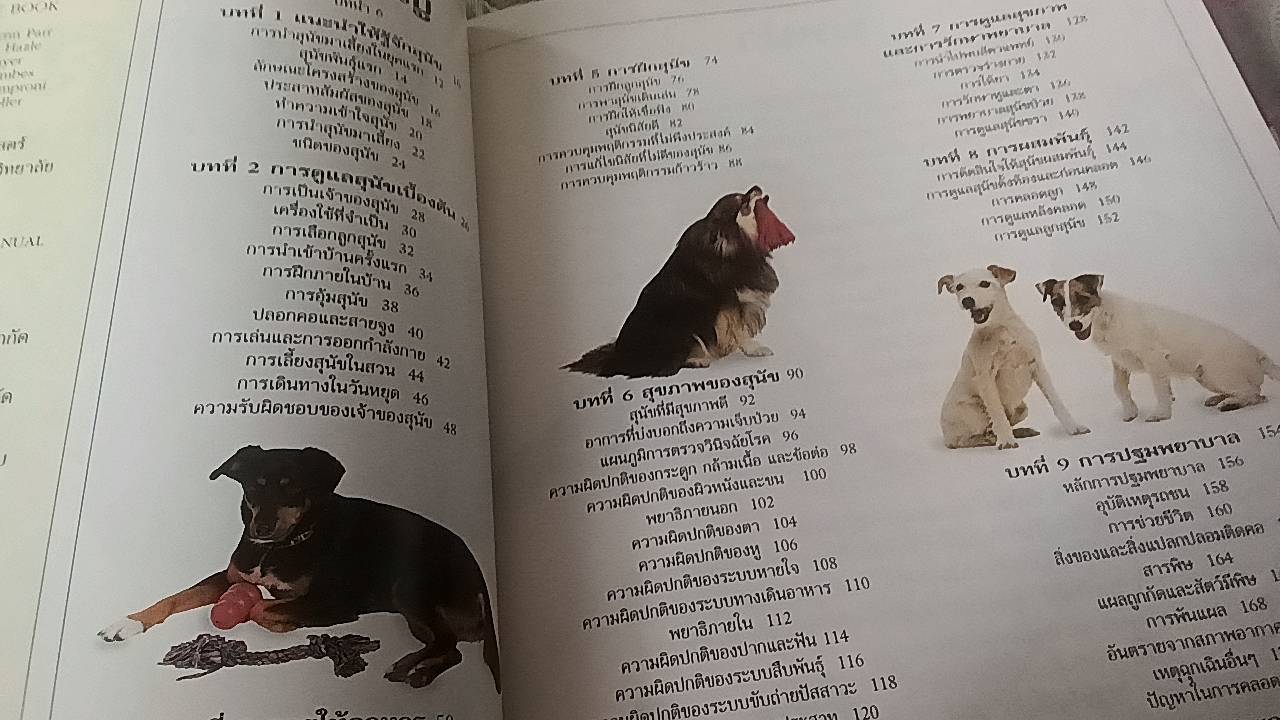 คู่มือดูแลสุนัข ฉบับสมบูรณ์