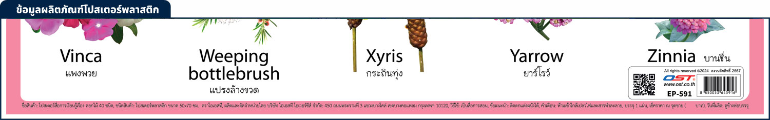 สคบ.โปสเตอร์ความรู้ ชุดคำศัพท์ ดอกไม้ 40 ชนิด พลาสติก EP-591