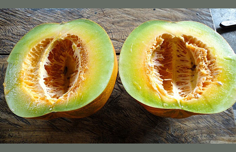 เมล็ดพันธุ์ แตงไทยลูกกลม