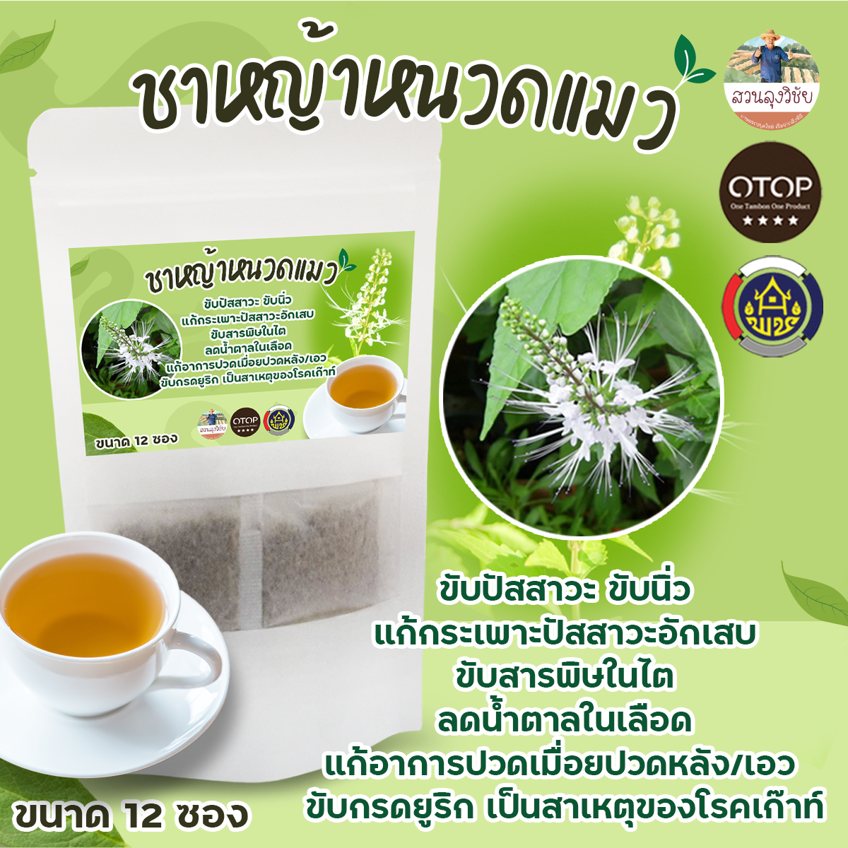 หญ้าหนวดแมว ชาหญ้าหนวดแมว ไม่ผสมน้ำตาล สินค้าดี OTOP ขนาด 12 ซองชา