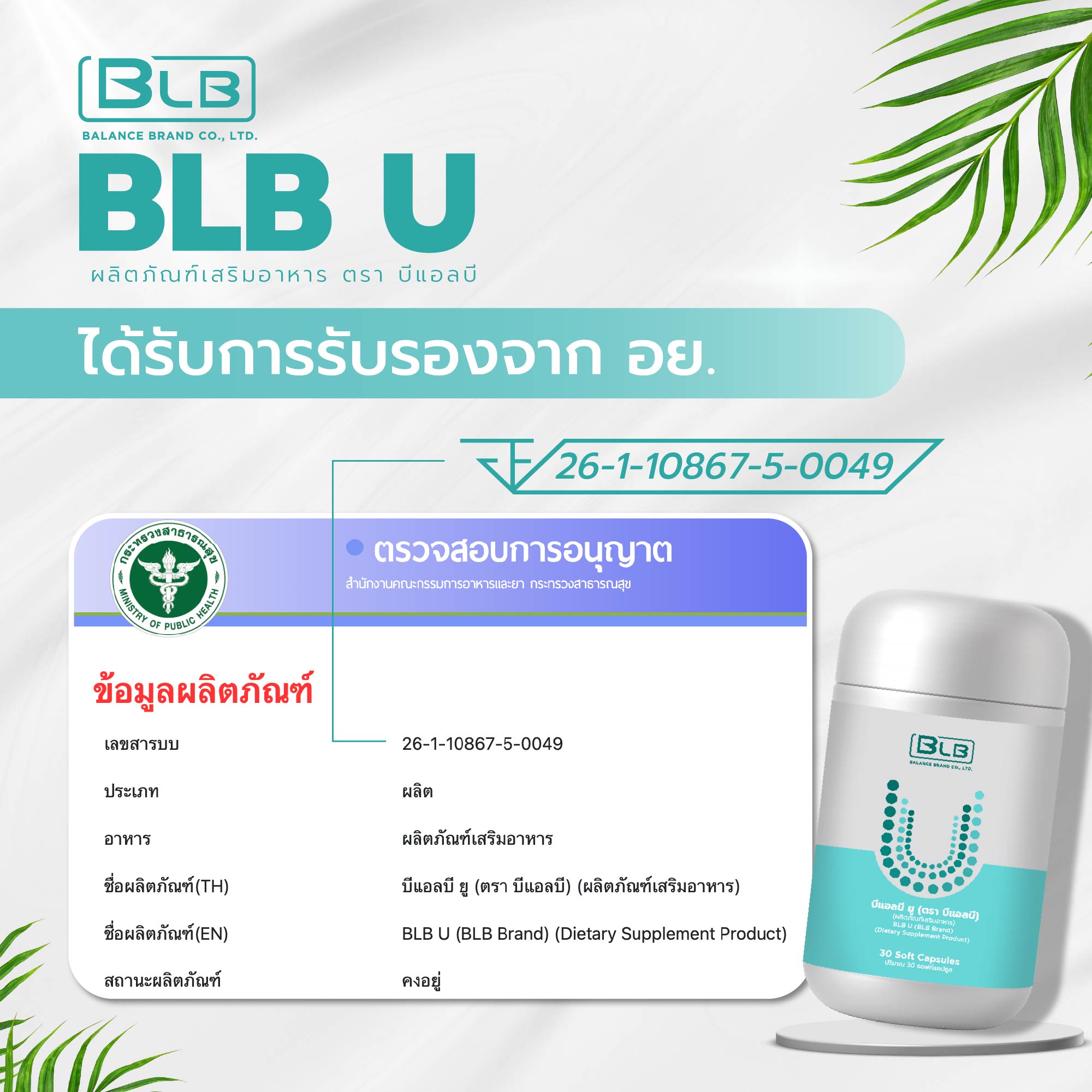 BLB U บีแอลบี ยู มี อย. BLB U บีแอลบี ยู มี อย.