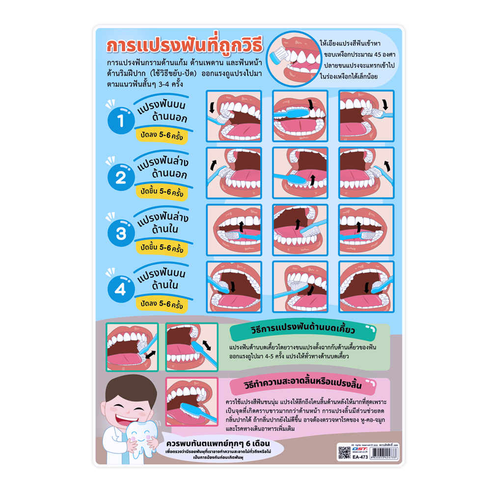 Proper Way of Teeth Brushing Educational Posters A4 size