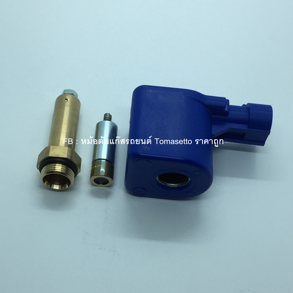 โซลินอยด์แบบมีปลั๊กพร้อมแกนโซลินอยหม้อต้ม Tomasetto AT09, AT12