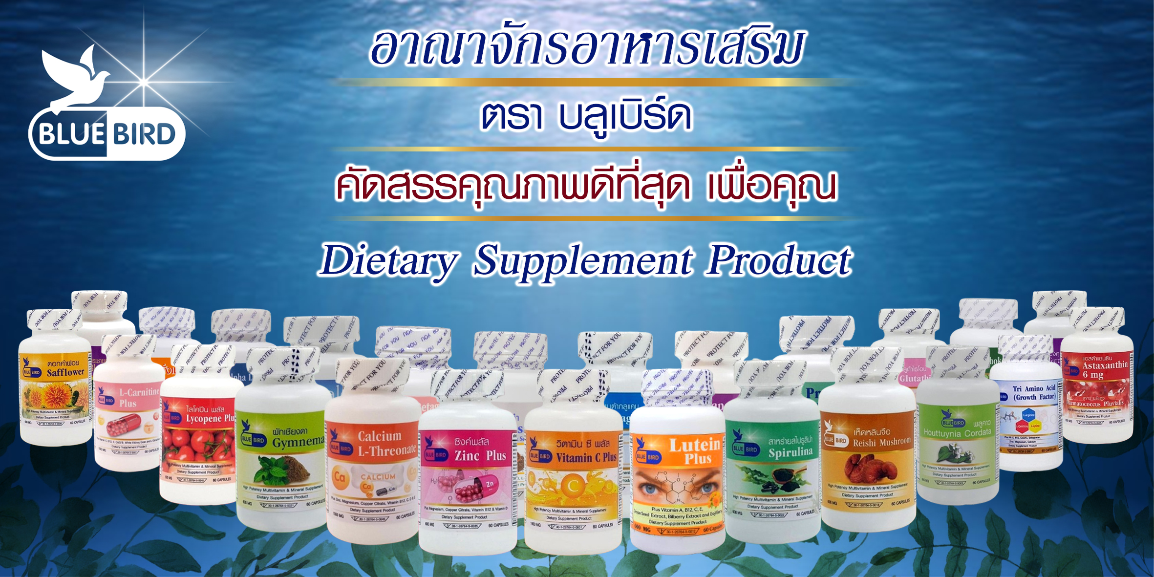 bluebirdthailand