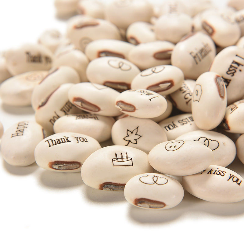 เมล็ดแห่งรัก