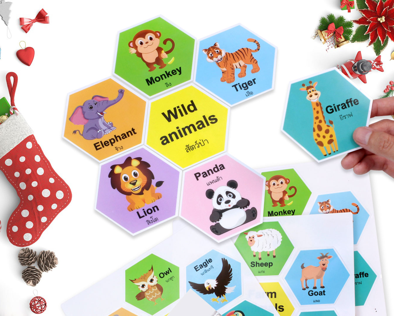 เกมต่อรังผึ้ง ชุดประเภทของสัตว์ Animals Classification