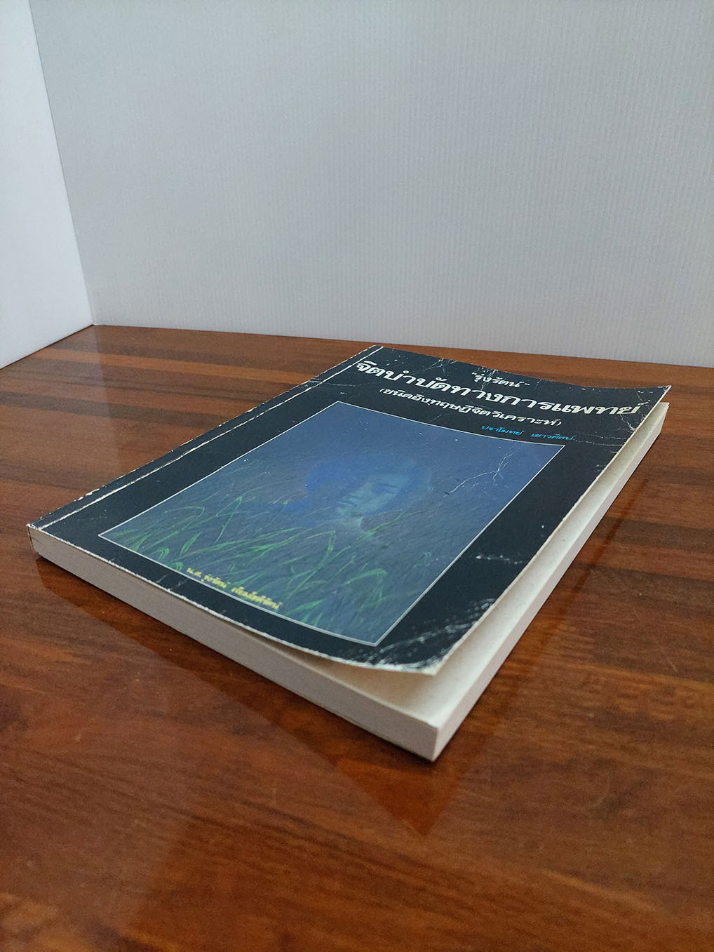 "รุ่งรัตน์" จิตบำบัดทางการแพทย์ (ชนิดอิงทฏษฎีจิตวิเคราะห์)